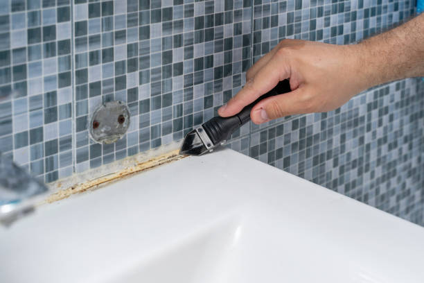 Best DIY Mold Remediation Support Services in Shiprock, NM